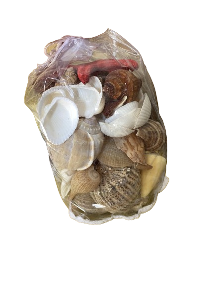 Saco Conchas Marinhas 059124!