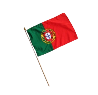 Bandeira Portugal C/Pau 13704. *
