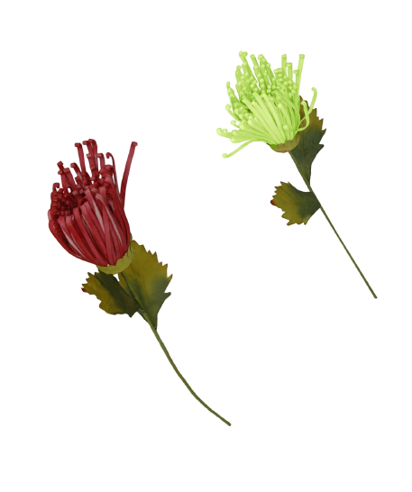 Haste Flor 407*