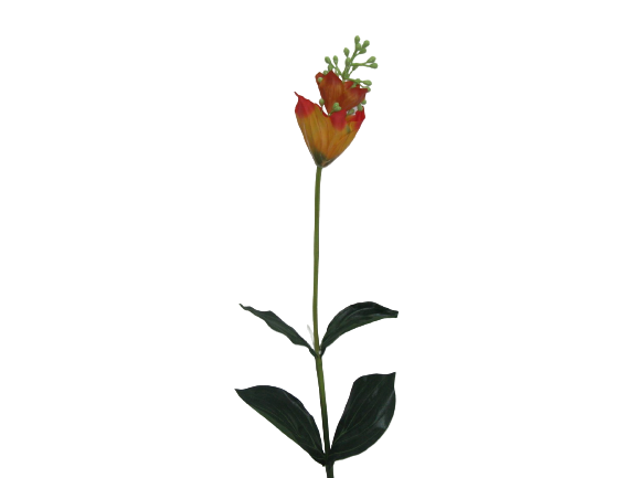 Pé Flor 4122*