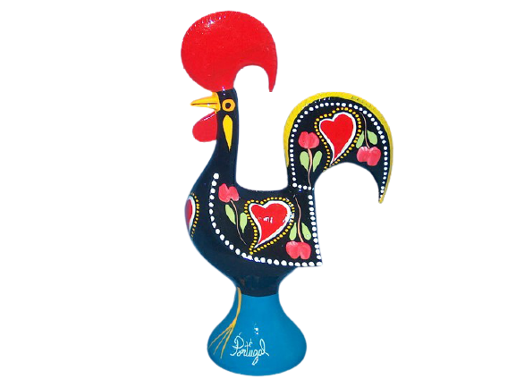 Galo 11 (290mm). *