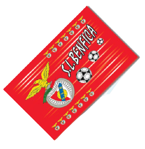 Bandeira SLB 10345/