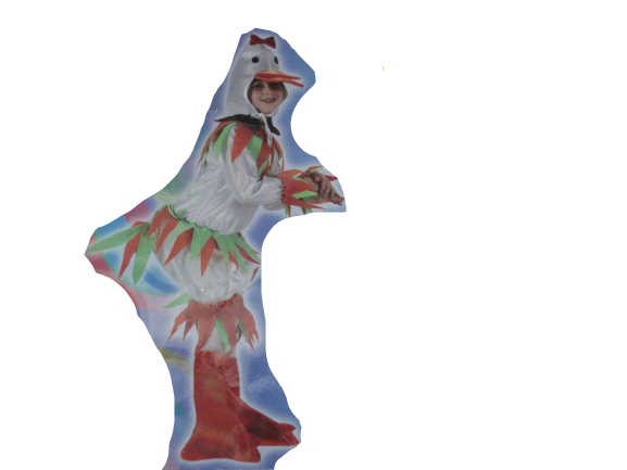 Fato Carnaval Pato 73997*
