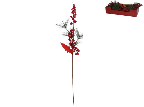 Haste Natal 37662. *