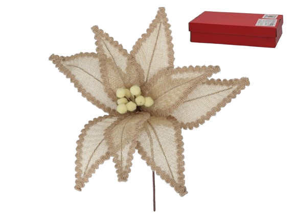 Haste Poinsetia Bege C/Mola 50449. *