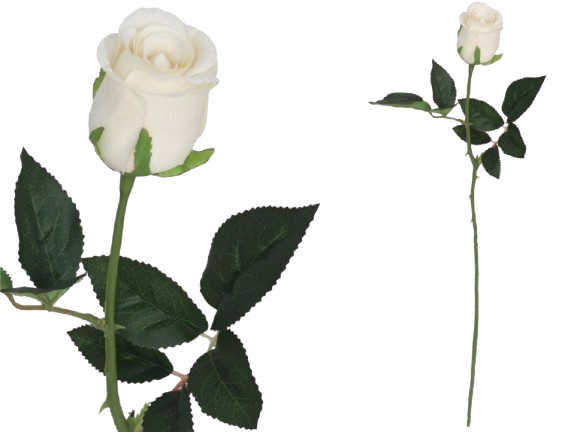 Haste Rosa Branca 22974. *