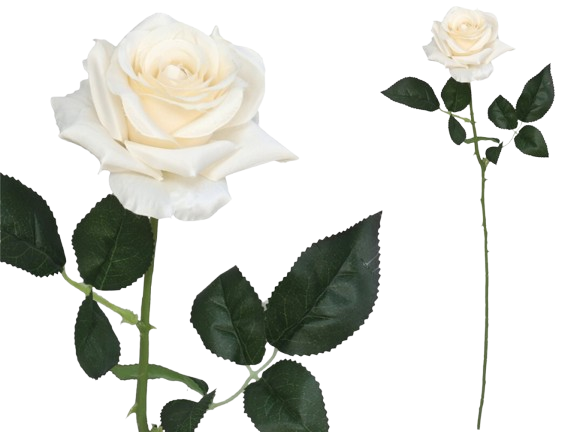 Haste Rosa Branca 23056. *