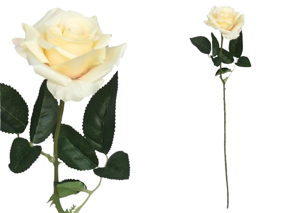 Haste Rosa Creme 23063. *