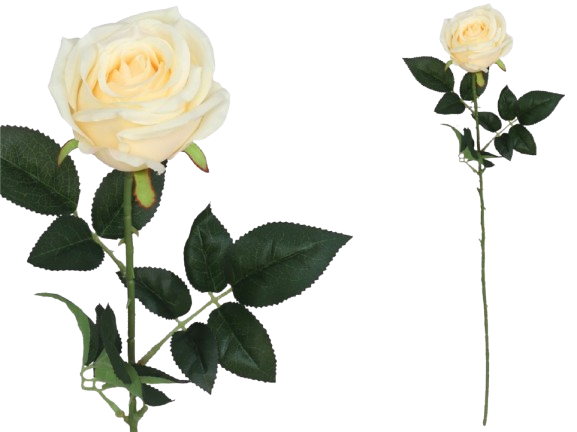 Haste Rosa Amarela 23223. *