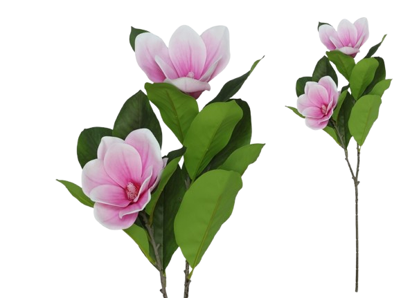 Haste Magnólia Rosa 25072. *