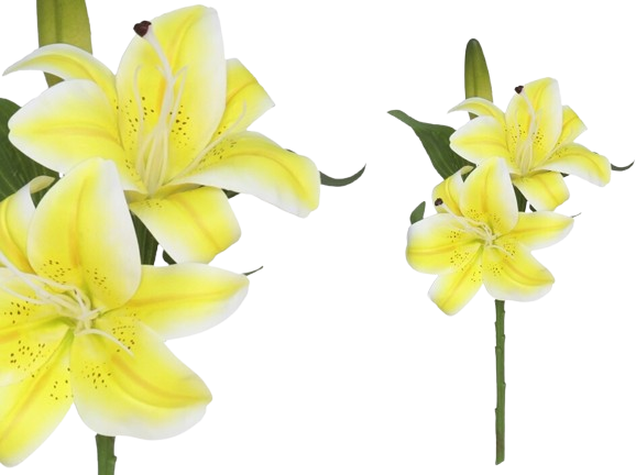 Haste Lilium Amarelo 25807. *