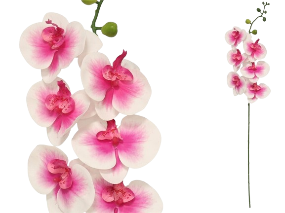 Haste Orquídea Rosa 38122.
