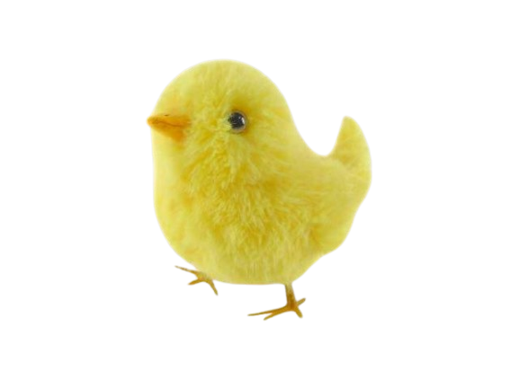 Pintainho Amarelo 40498. *