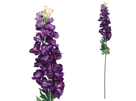 Haste Delphinium Púrpura 40583. *