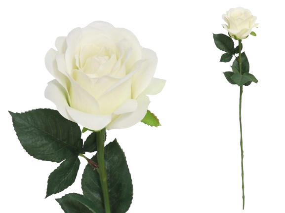 Haste Rosa Branca 43976. *