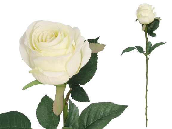 Haste Rosa Branca 44034. *