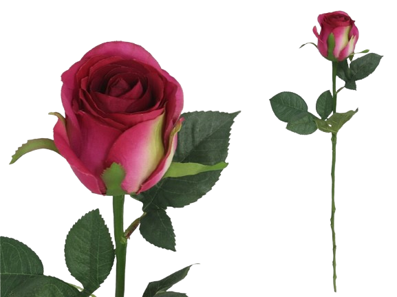 Haste Rosa Rosa 44089. *