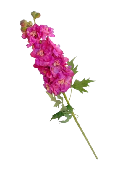 Haste Delfinio Rosa 56973.