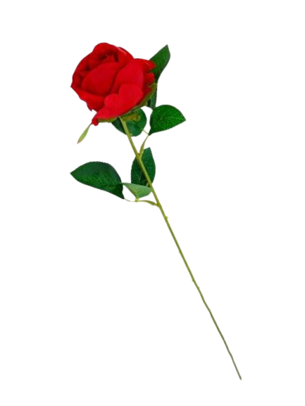 Haste Rosa Vermelha 62684. *