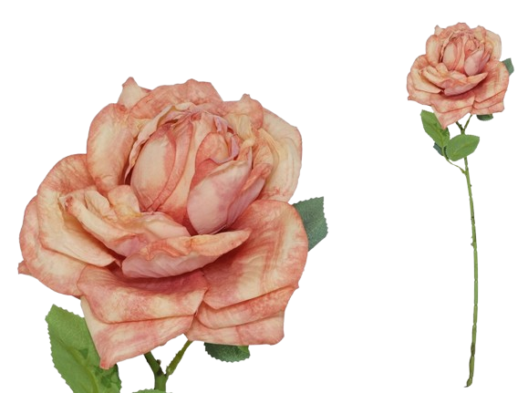 Haste Rosa Seca 64401. *