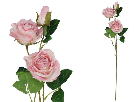 Haste Rosa Seca Rosa 64494. *