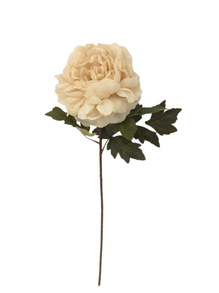 Haste Peónia Creme 65798.