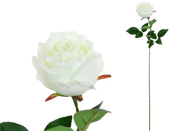 Haste Rosa Branca 68712.