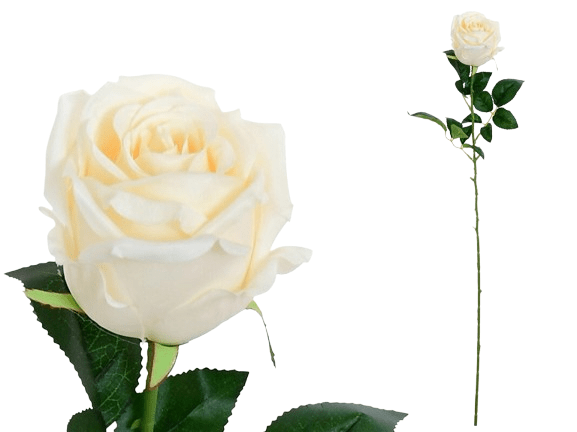 Haste Rosa Bege 68729. *