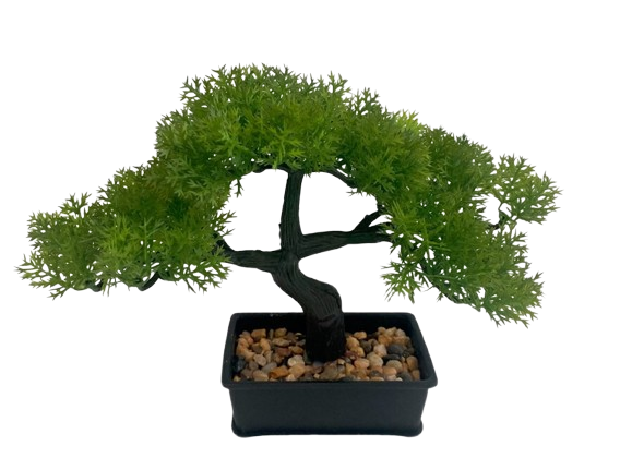 Vaso C/Bonsai 69789. *