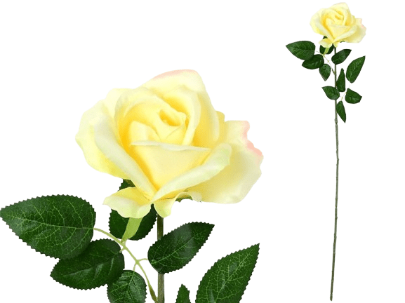 Haste Rosa Amarela 73150.