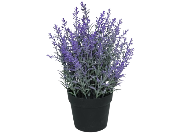 Vaso C/Lavanda 91106. *