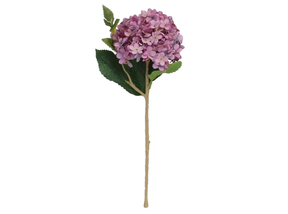 Haste Hortensia Púrpura 97355. *