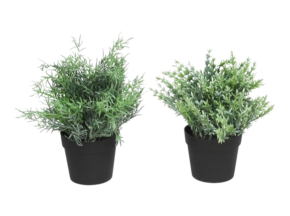 Vaso C/Planta 98316>